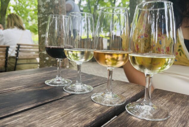 Franschhoek Wine Tram Hop-On Hop-Off Full-Day Wine Experience